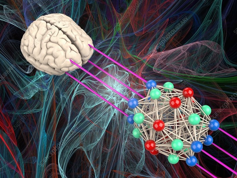 Decoding the Human Brain: Neural Networks and Cognitive Architectures