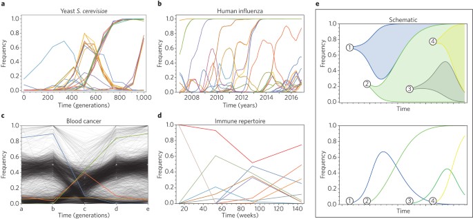 Evolution of Prediction Models